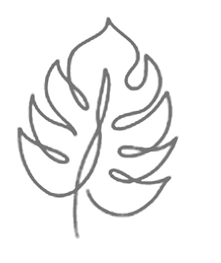 Monstera leaf