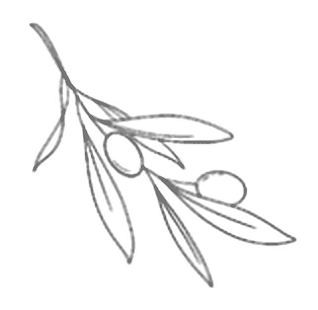 Olive branch