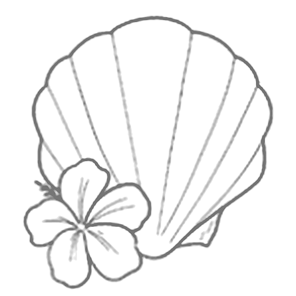 Shell and flower