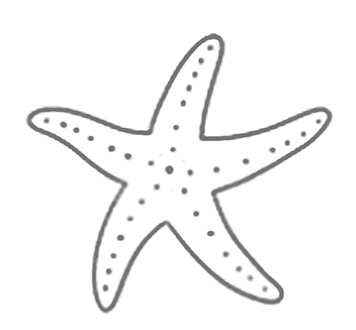 Starfish