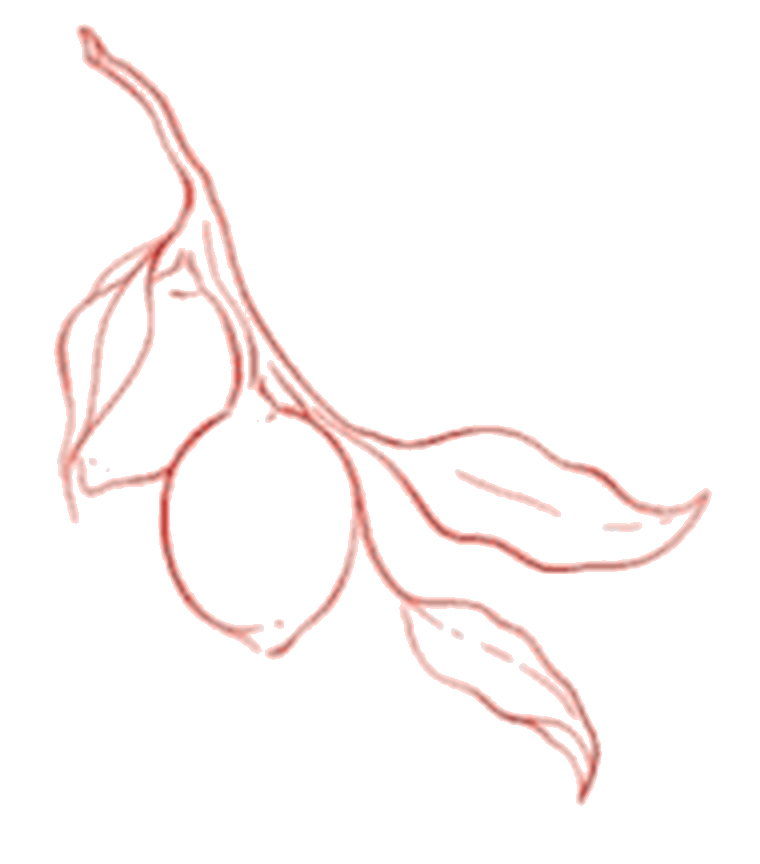 Lemons