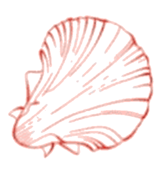 Red shell