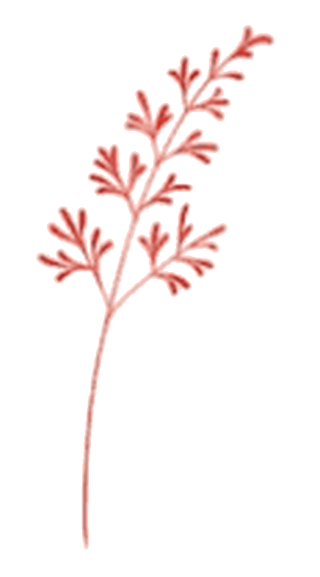Red sprig